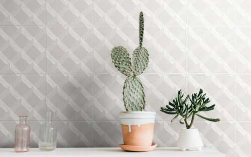 Керамогранит Studio Ceramica Colli