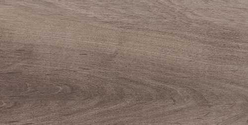 Плитка Laparet 08-01-15-2685 Plant коричневый 20х40