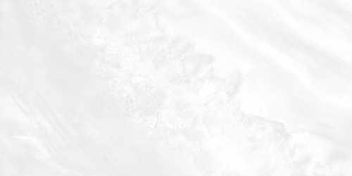 Плитка AltaCera WT9PAL00 Palmira light 249*500*8