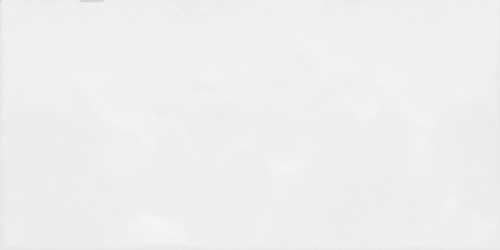 Плитка Alma Ceramica TWU09MNR030 рельефная Monocolor 249*500*8.5