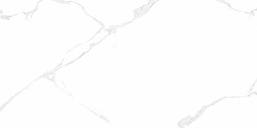 Плитка AltaCera WT9ELT00 Elemento Bianco Carrara 250*500*9