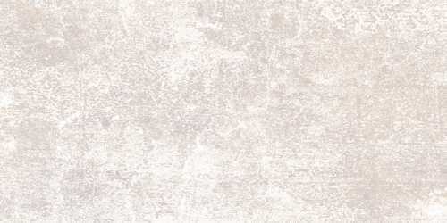 Плитка Alma Ceramica TWU09PMT404 Piemonte 249*500*7.5