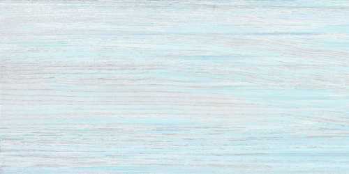 Плитка Alma Ceramica TWU09NRT606 North 249*500*7.5