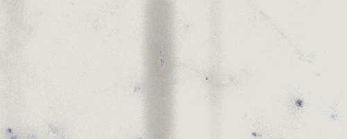 Декоративная вставка Italon 600090000490 Charme Extra Carrara London A.E. Pat 2x5