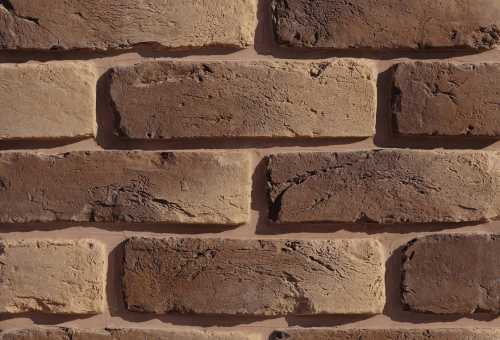 Leonardo Stone Декоративный кирпич Плоскость Орлеан 444 25-28x7-8x1