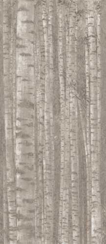 Декор Atlas Concorde Italy A0LW Boost Pro Grove 120x278