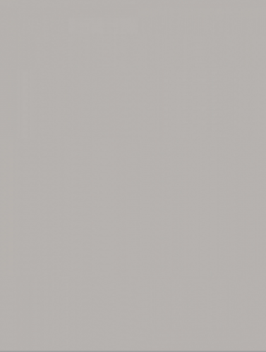 Плитка RAKO WAAKB110 CONCEPT Grey 25x33