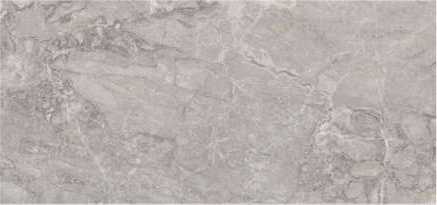 Керамогранит Imola Ceramica BRE DU6 278 LP 120x278