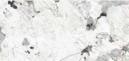 Керамогранит Imola Ceramica PAT WH6 278 LP 120x278