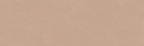 Плитка Arcana 8YQ4 Zaletti-R Salmon 32x99