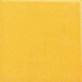 Плитка Ragno Marazzi Pav.AR 720 Arancio 20x20