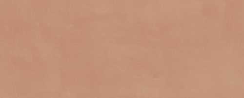 Плитка Kerama Marazzi 7254 Каннареджо оранжевый матовый 20x50x0