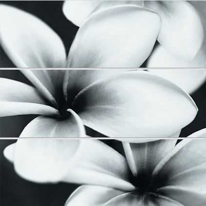 Панно Mei UG2U093D Universal Glass Flowers 75x75