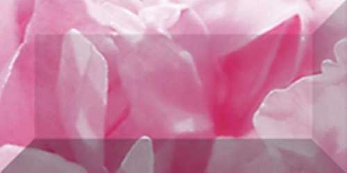 Laparet Бордюр рельефный Peony br1020D281-1 20х10