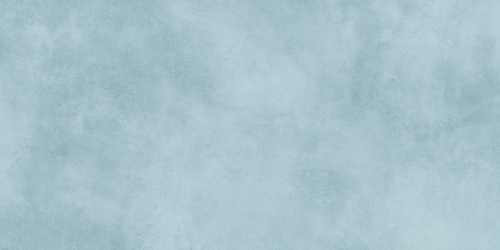 Плитка Alma Ceramica TWU09RCD606 Richard 24.9x50