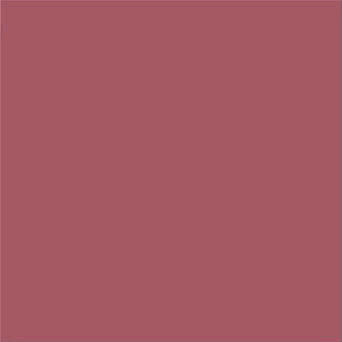 Плитка VIVES Fucsia Mate 20x20