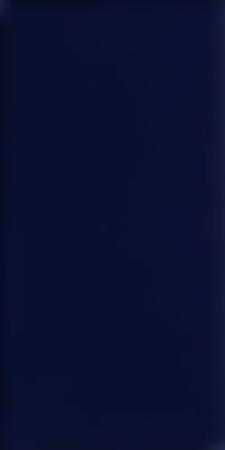 Плитка VIVES Azul Noche 14x28 g.130