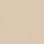 Керамогранит Porcelanosa 100355029 Terra Clay 120x120