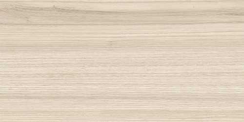 Плитка New Trend WT9ESS11 Essense Beige 249*500*85
