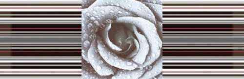 Декор Absolut Keramika DECOR ROSE 02 15X45