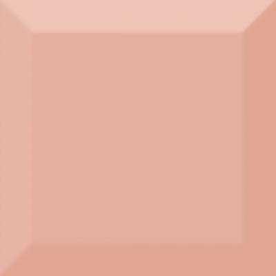 Плитка Absolut Keramika Biselado Brillo Coral 10x10