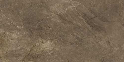 Керамогранит Pamesa Wells Moka 60x120