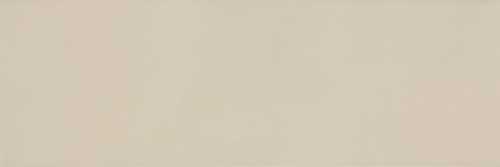 Плитка RAKO WADVE806 BLEND 20x60