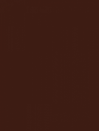 Плитка RAKO WAAKB009 CONCEPT Plus Brown 25x33