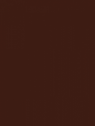 Плитка RAKO WAAKB109 CONCEPT Brown 25x33