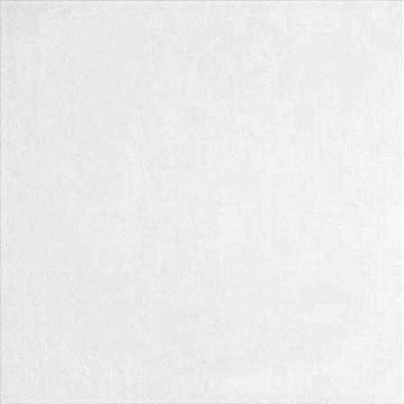 Керамогранит RAKO DAA3B599 AMAPOLA White 33x33