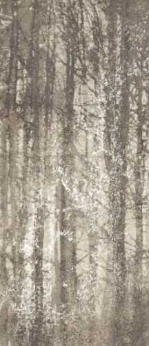 Керамогранит FAP Ceramiche fQWO Ylico Wood Fog 120x278