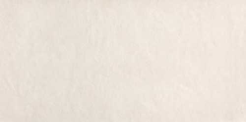 Плитка FAP Ceramiche fRFP Sheer White RT 80x160