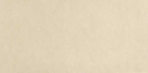 Плитка FAP Ceramiche fPA5 Sheer Beige 80x160