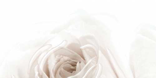 Декор BELLEZA 10-05-11-350-1 Нежность бежевый А 50х25