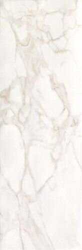Плитка FAP Ceramiche fRFC Roma Calacatta 25x75