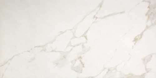Плитка FAP Ceramiche fPP5 Roma 50 Calacatta 50x120