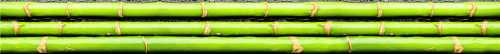 Бордюр Cerrol Gotas Listwa B 6.5x50