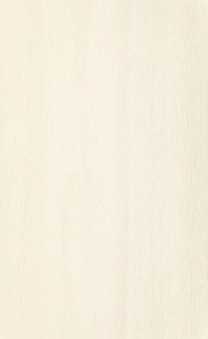 Плитка Paradyz Tembre beige 25x40
