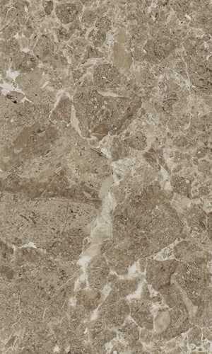 Плитка Gracia Ceramica Saloni brown 02 30*50