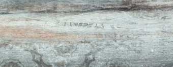 Плитка Ceramica Konskie Treviso predazzo 20х50