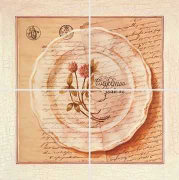 Factoria 25.8(421) Декор Herbarium 3 из 4х плиток 20x20