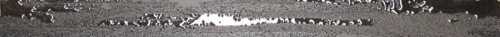 Бордюр Brennero List. Pollock Silver 4х60