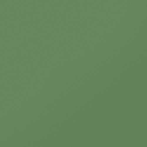 Керамогранит Idalgo MONOCOLOR CF 007 Green / МОНОКОЛОР СF 007 Зеленый MR 60x60