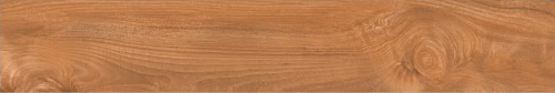 Керамогранит Absolut Gres AB 1064W Barma Brown 1200x200