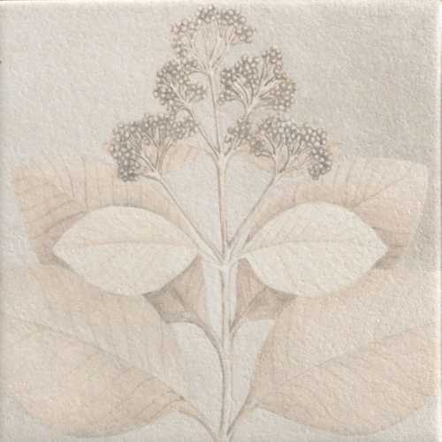 Керамогранит Mainzu Soft Kamelia White 15x15