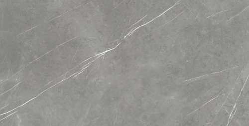 Керамогранит Atlas Concorde 610015000665 Forte dei Marmi Elegant Grey Lapp 80x160