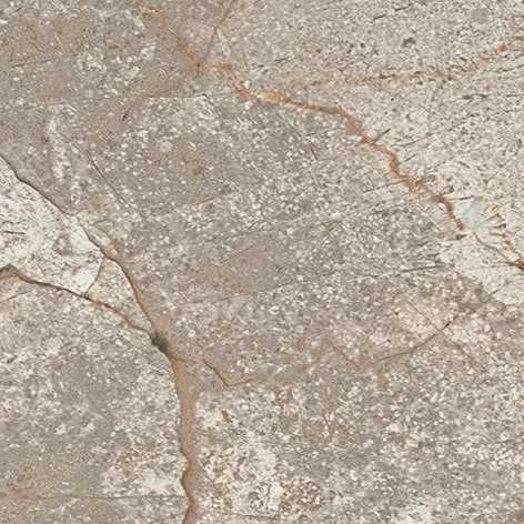 Декоративная вставка Atlas Concorde 610090002383 Empire Silver Root Bottone 7
