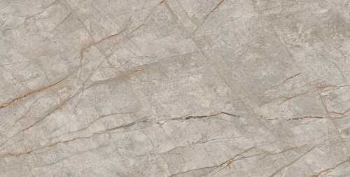 Керамогранит Atlas Concorde 610010002187 Empire Silver Root 60x120