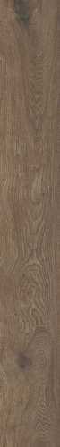Керамогранит Ragno Marazzi RCDE Boheme Castagno Rett 20x150