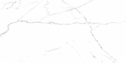 Керамогранит Laparet SG50002420R Discovery Blanco белый 60х119